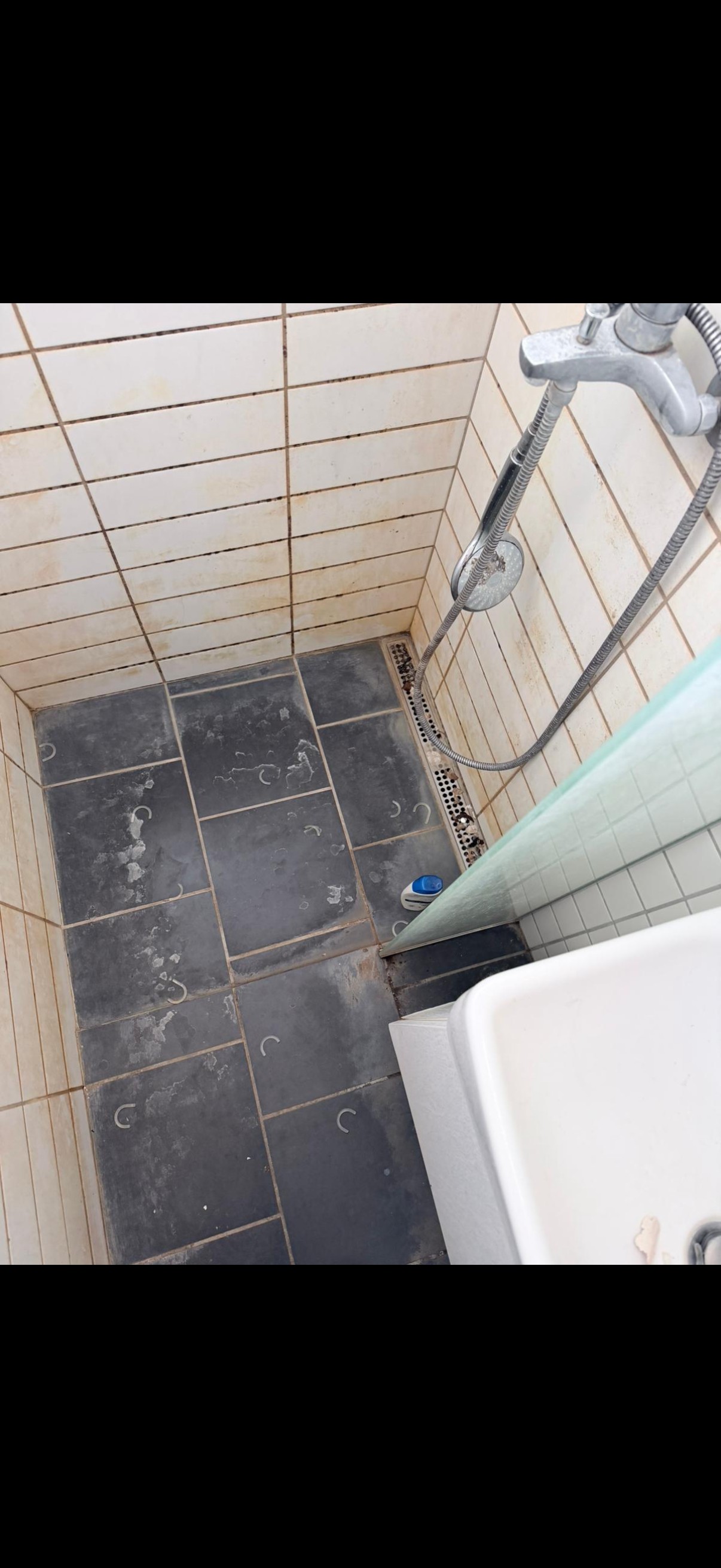 BlueClean rengøring